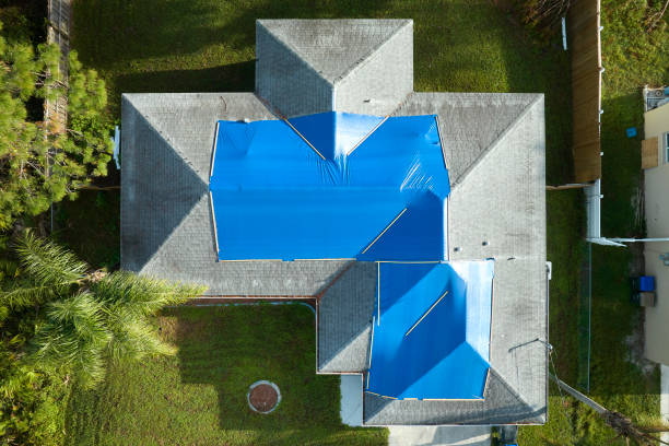 Best Roof Coating and Sealing  in Freedom, CA