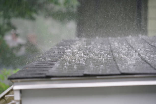 Best Sheet Metal Roofing  in Freedom, CA