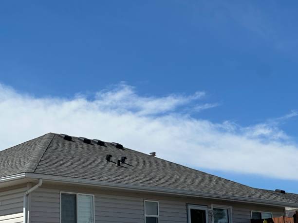 Best Rubber Roofing (EPDM, TPO)  in Freedom, CA